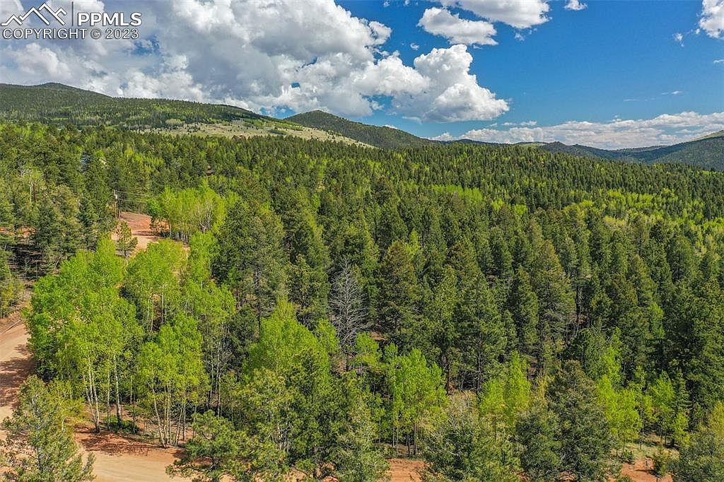 560 Princess Rd, Cripple Creek, CO 80813 MLS 9885309 Zillow