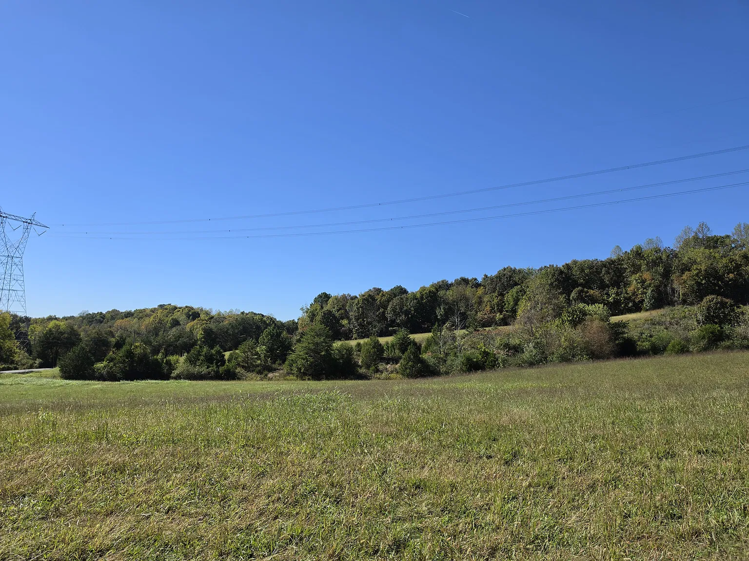 3 bed, 1240 sqft, $1,600 — Photo 3