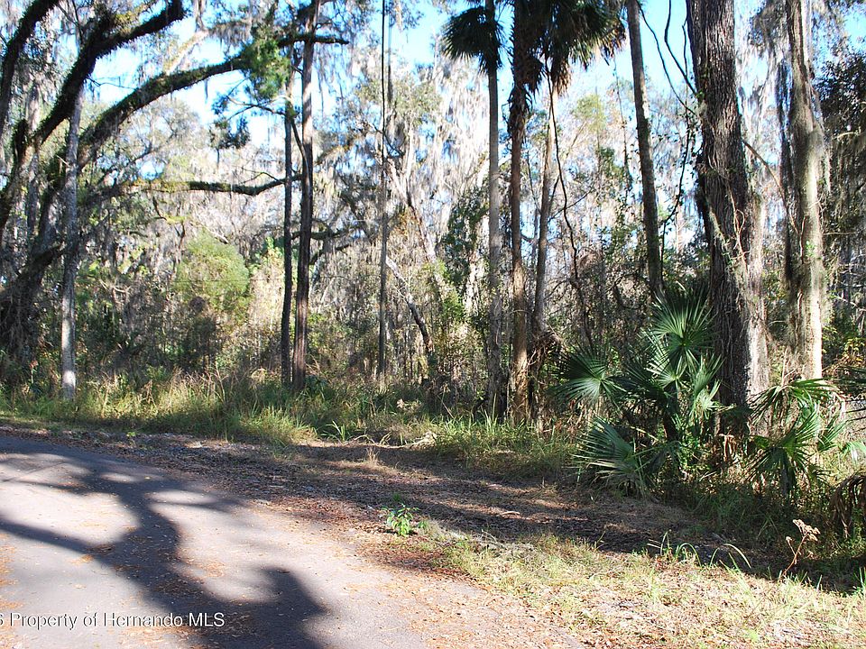 2nd image of 0 Griffin Rd