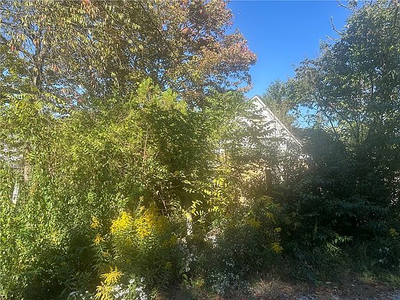 5th image of 148 Zimmerle Dr