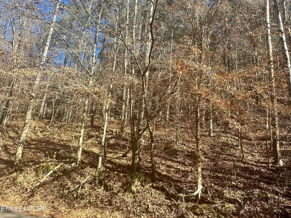 Vancel Hill Rd, Tazewell, TN 37879