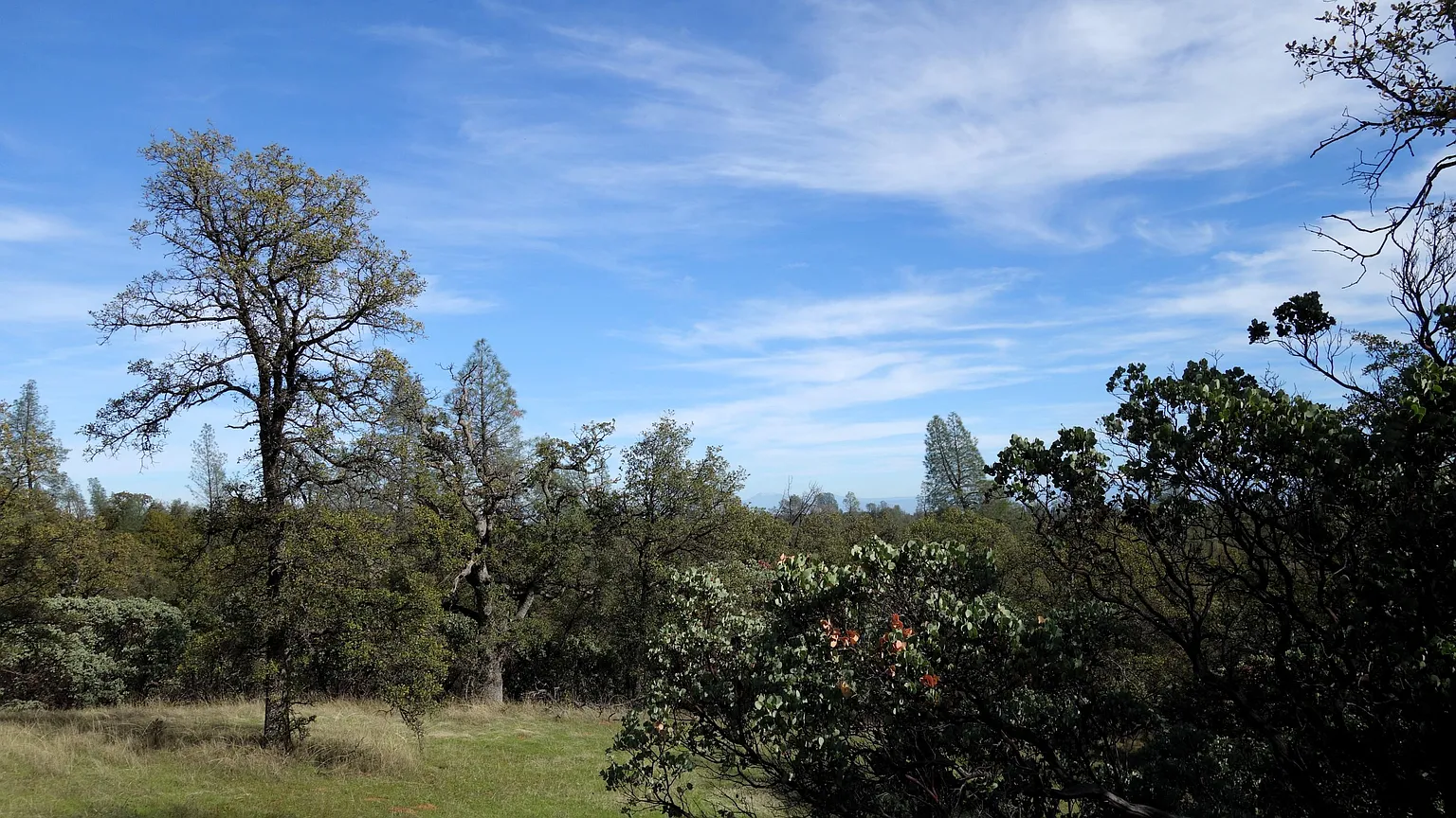 LOT 24 Arcady Rd Lot 24 photo 1