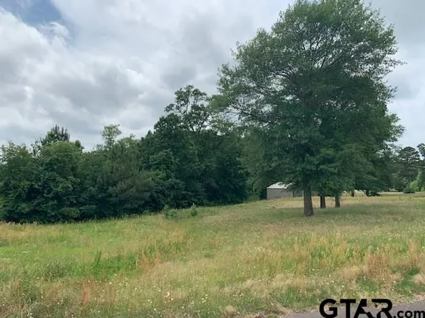 1218 Cr, Pittsburg, TX 75686