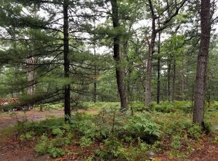 Dowler Dr, Houghton lake, MI 48629