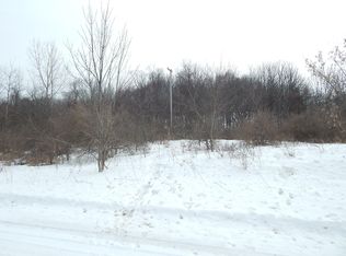 17105 White Rd, Bailey, MI 49303