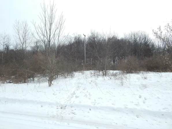 17105 White Rd, Bailey, MI 49303