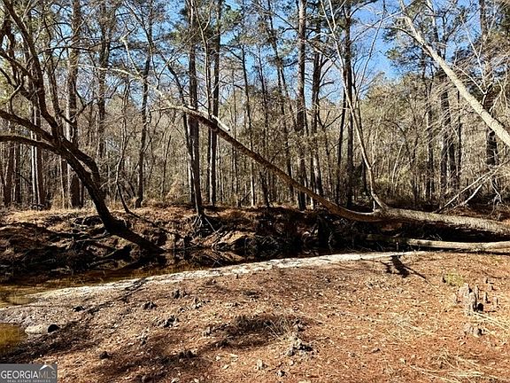 5th image of 0 Live Oak Lane Rd