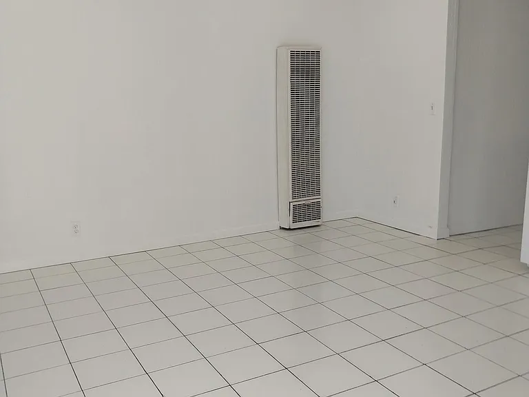 313 Raymond St #3 — Photo 7