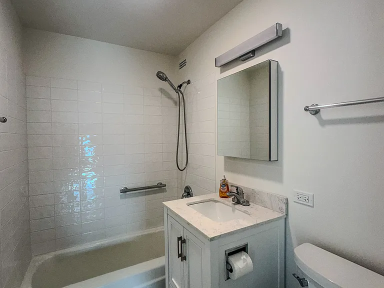 1255 N Sandburg Ter #2403 — Photo 13