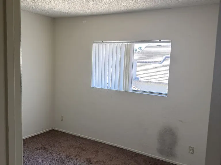 3241 Triumph Ln — Photo 13