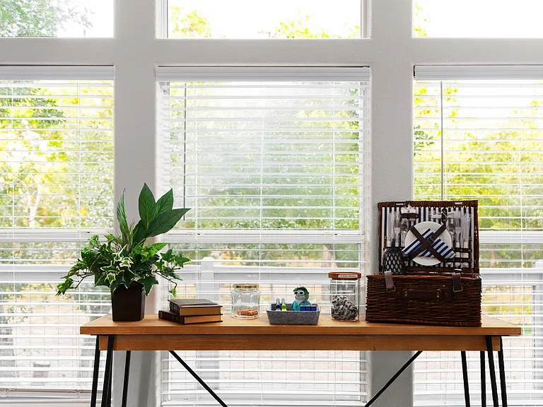 Window View