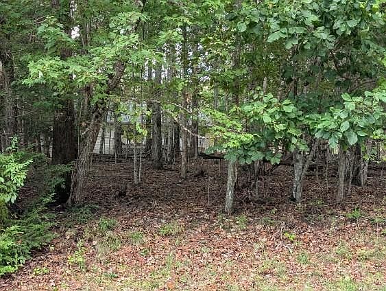 1st image of 153 Sugarbush Cir Lot 353