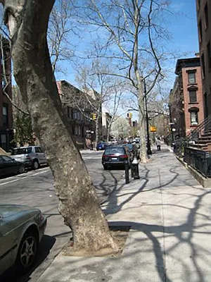 Rented by Stardust Properties | media 12