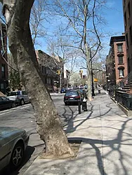 Rented by Stardust Properties