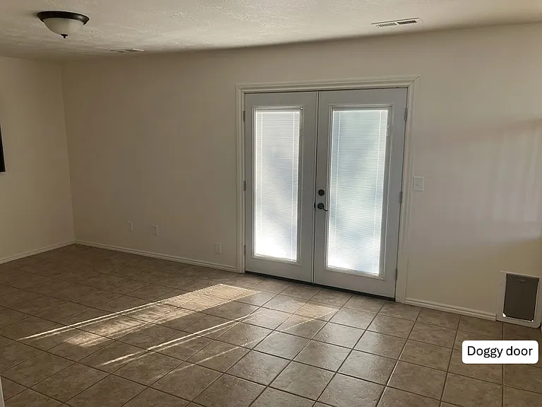Doggy door to backyard