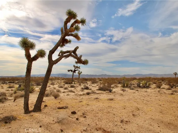0 Cielito Dr #53, Joshua Tree, CA 92252