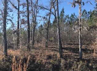 5390 Kenwood Rd, Manning, SC 29102