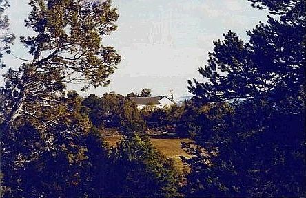 View of house thru the trees
