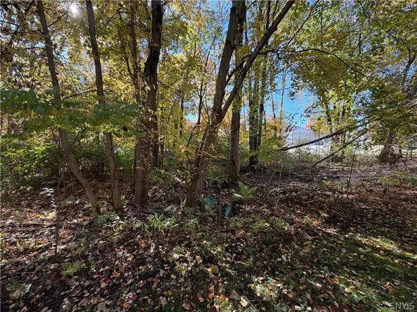 LOT 17 22nd Ave Lot 17, Sylvan Beach, NY 13157
