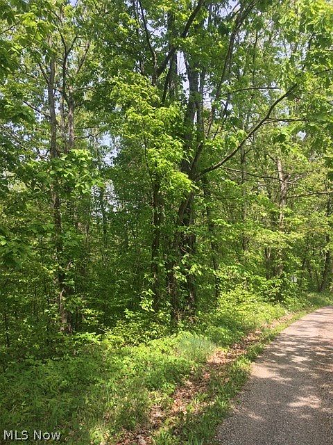 2nd image of Richards Rd