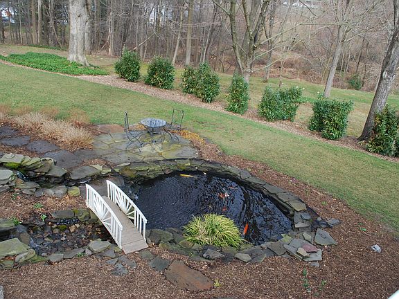 Stream leading to fish pond