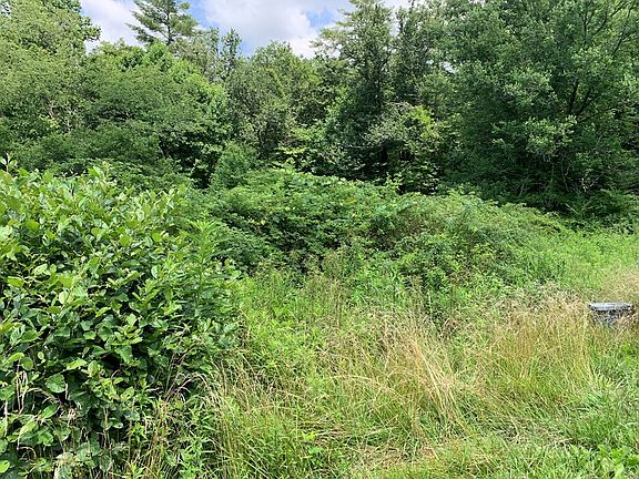 3rd image of LOT 57 Rainy Farm Rd