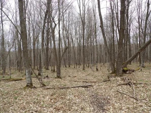 4315 Tower Road, Winter, WI 54896