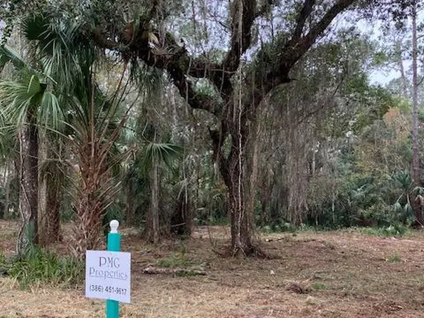 0 Shell Harbor Rd, Pierson, FL 32180