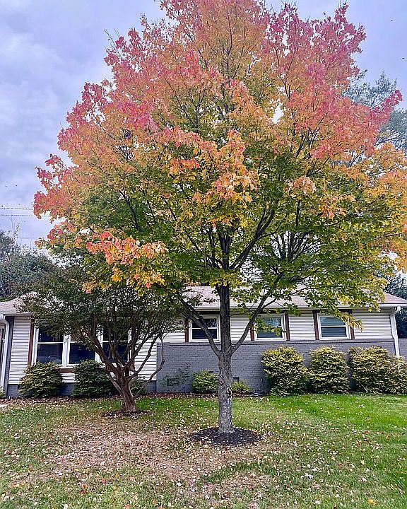2nd image of 3708 Conway Ave