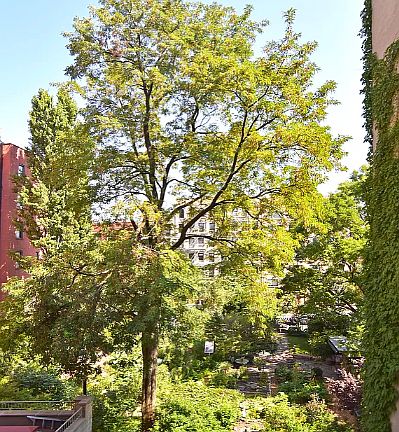 5th image of 531 E 11th St APT 2C