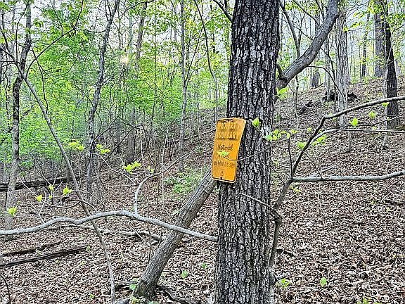 3rd image of 17237 Robinson Rd