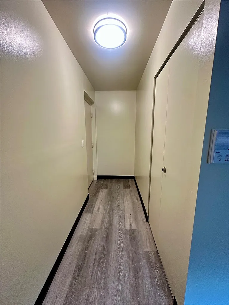 1 bed, $850 — Photo 3