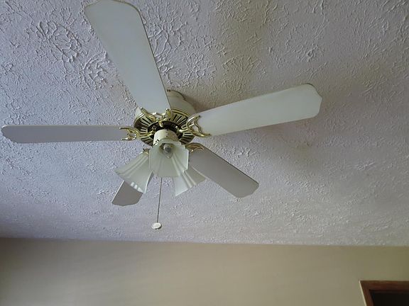 Living room ceiling fan