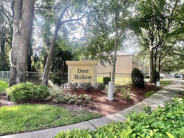 10542 Autumn Trace Rd — Photo 60