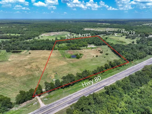 15542 Us Highway 80 Hwy, Edgewood, TX 75117