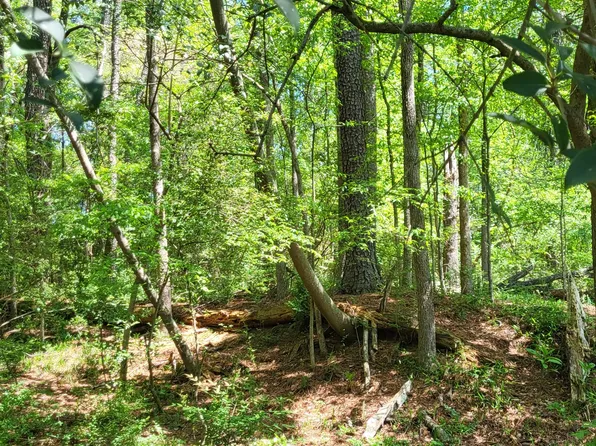 0 Grove Park Pl NW, Atlanta, GA 30318