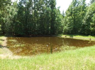 30 Ellis Ln #2, Coldspring, TX 77331