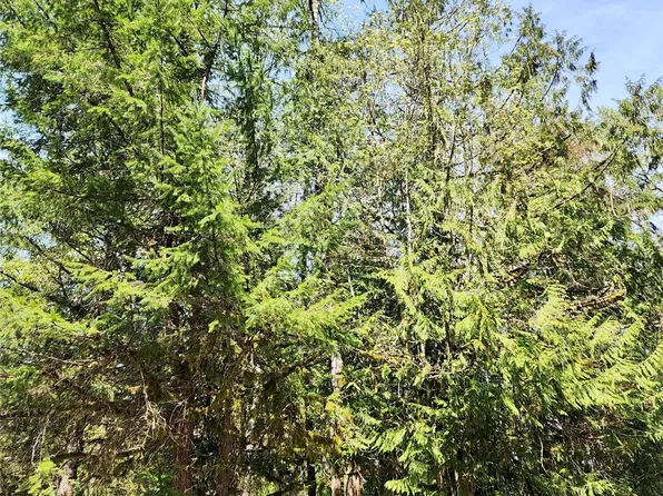 8308 Cedar Grove Avenue, Concrete, WA 98237