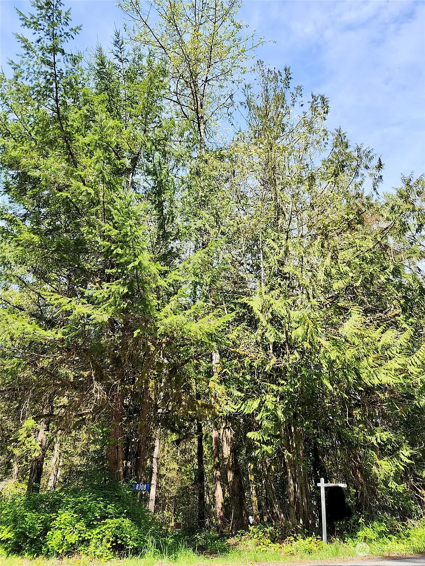 8308 Cedar Grove Avenue photo 1