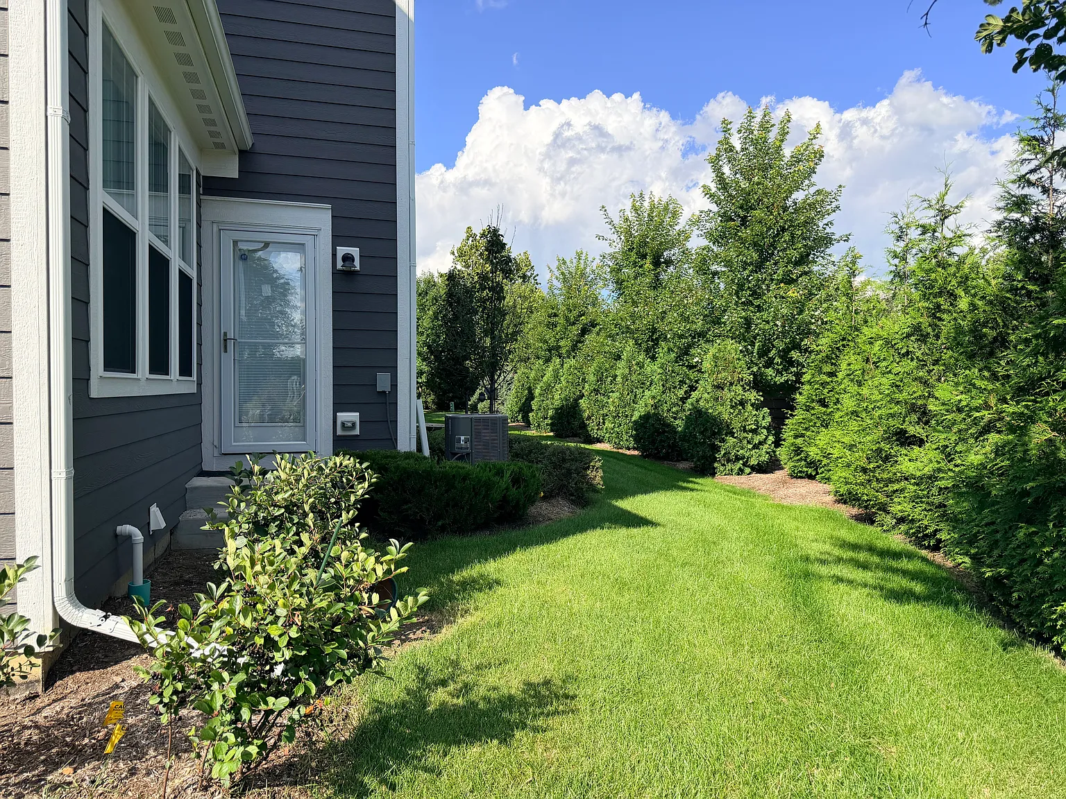 3 bed, 2.5 bath, 2566 sqft, $4,800 — Photo 3