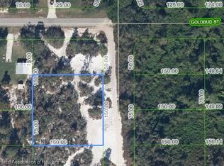 238 Marshall Ave, Lake Placid, FL 33852