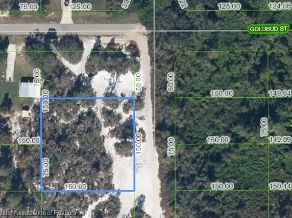 238 Marshall Ave, Lake Placid, FL 33852
