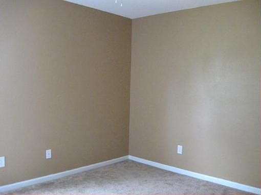 3rd image of 219 Marisco Way