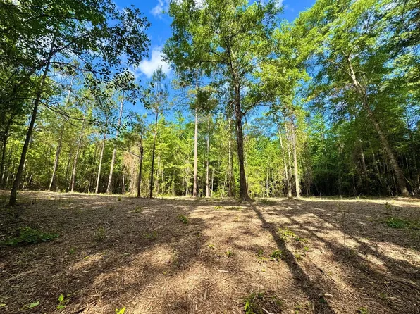 5 State Highway 80, Auburn, AL 36831