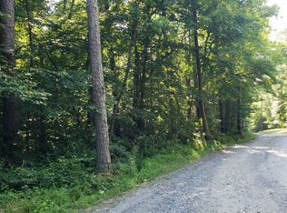 Licklog Rd, Ellijay, GA 30536