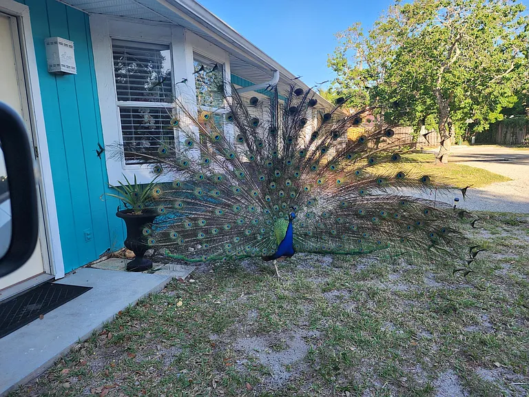 251 Circle Dr #A — Photo 35