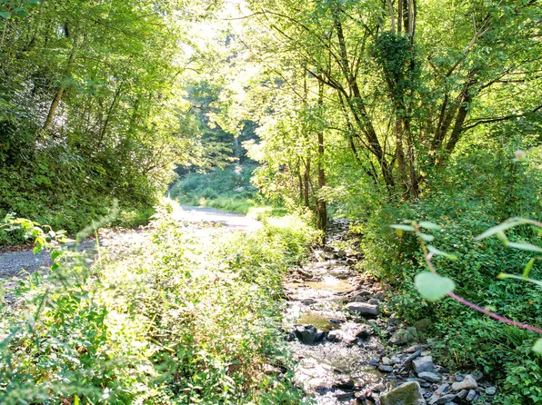 740 Johns Creek Rd, Del Rio, TN 37727