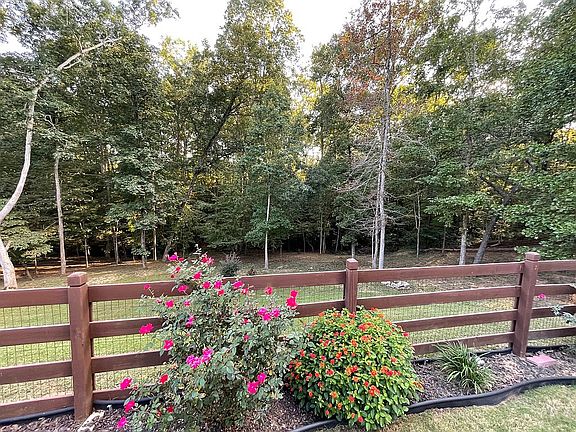 serene, private backyard