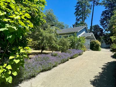1011 NW Hawthorne Ave, Grants Pass, OR, 97526
