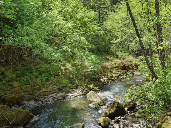 Rattlesnake Rd, White Salmon, WA 98672